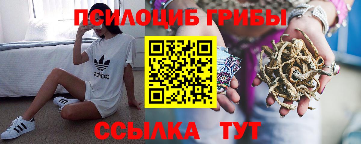 Галлюциногенные грибы Magic Shrooms Ржев